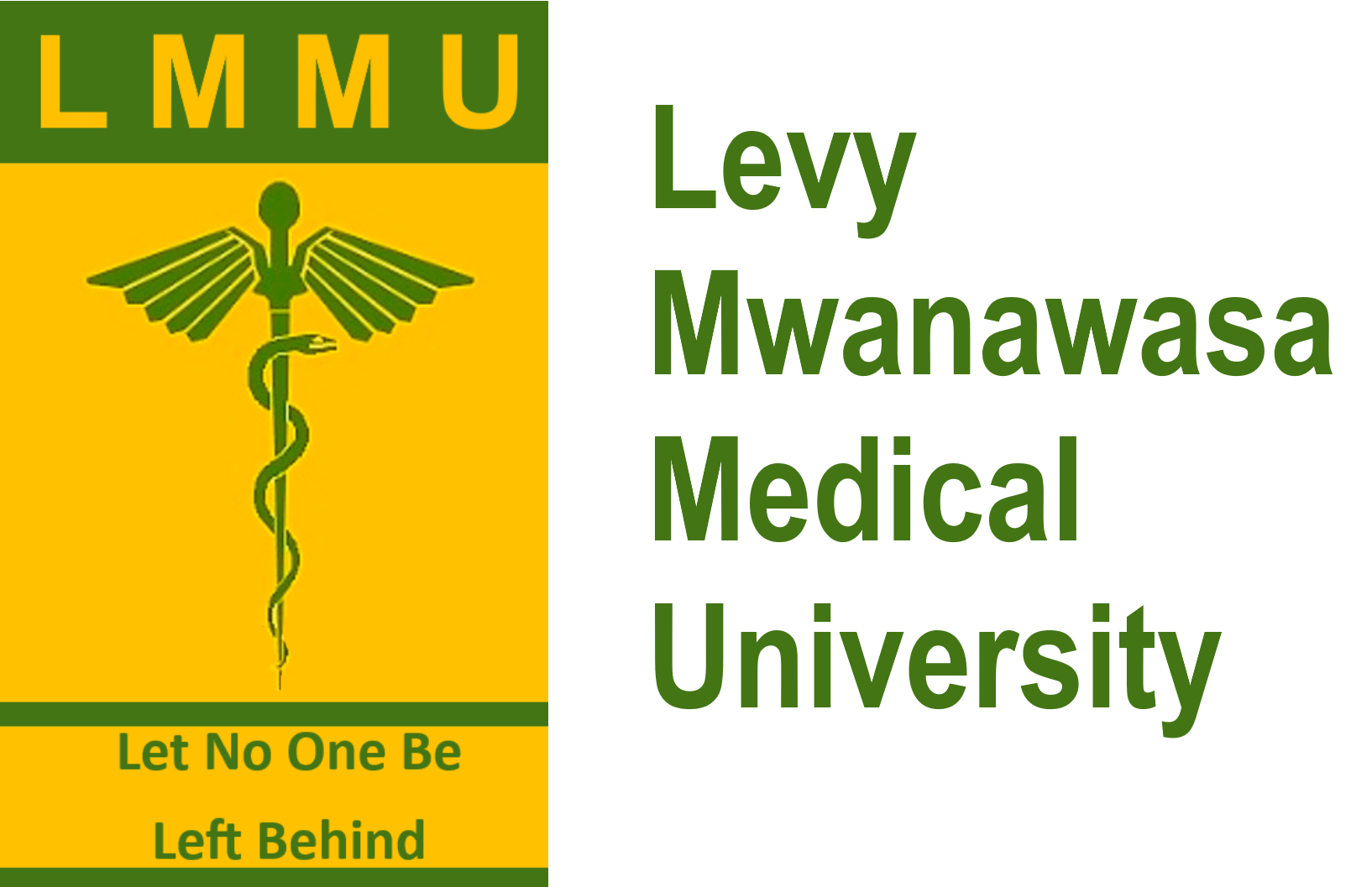 LMMU Logo