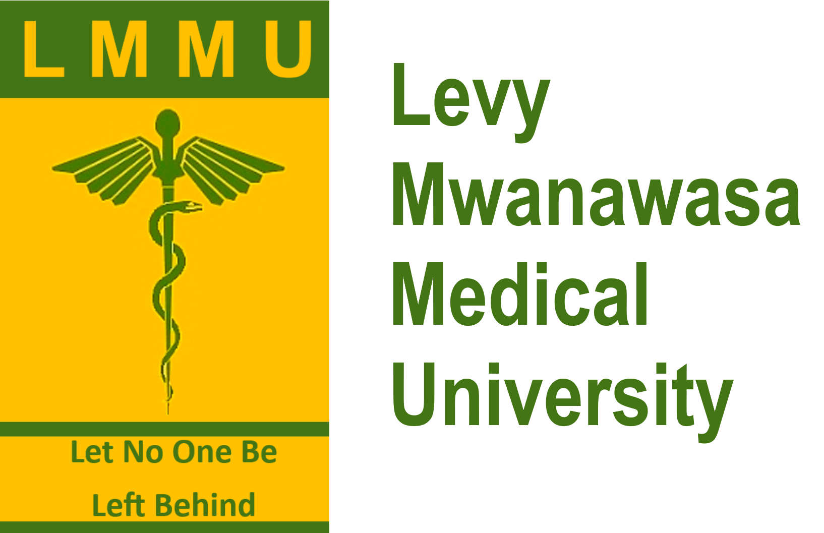 LMMU Organizational Goals